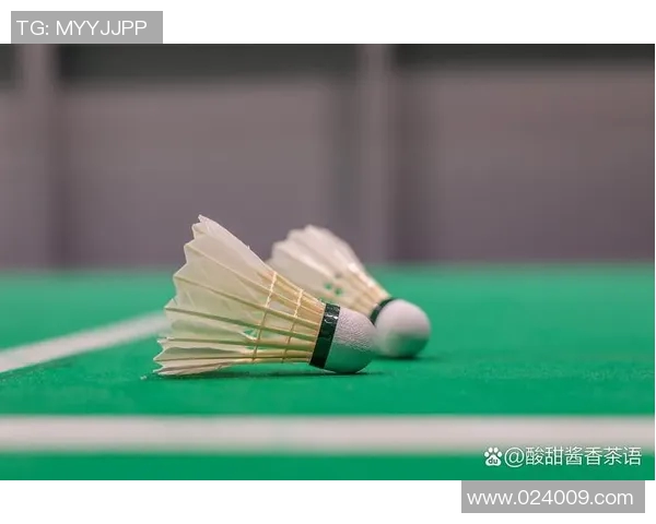 武汉羽毛球队的运营揭秘与深度分析探索羽毛球运动的未来发展之路 武汉羽毛球队的运营揭秘与深度分析探索羽毛球运动的未来发展之路