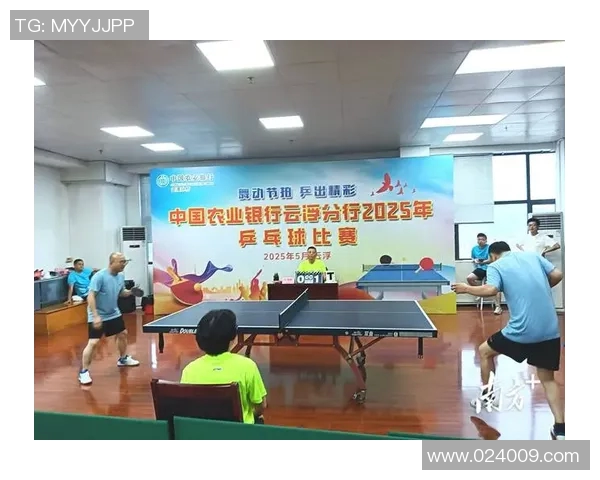 刘娜独家分享乒乓球技巧与心得助你提升球技的全面指南