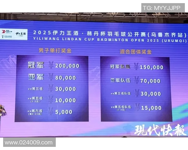 南京羽毛球队在杯赛中的比赛经验与表现分析