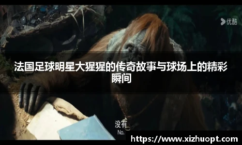法国足球明星大猩猩的传奇故事与球场上的精彩瞬间