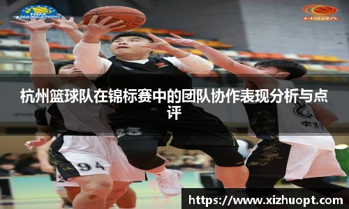 杭州篮球队在锦标赛中的团队协作表现分析与点评